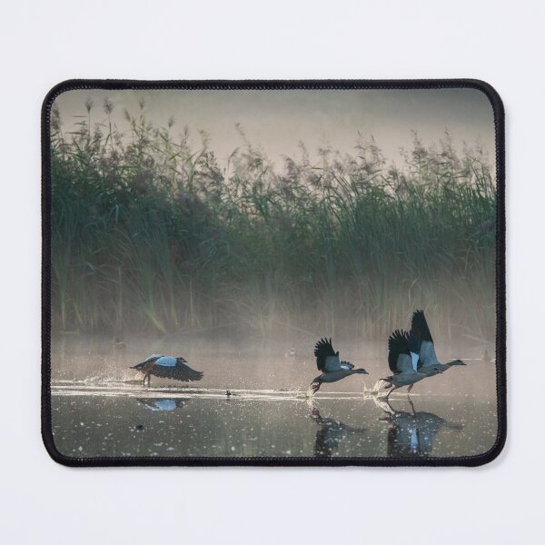 Item preview, Nile goose designed and sold by cgnature1983.