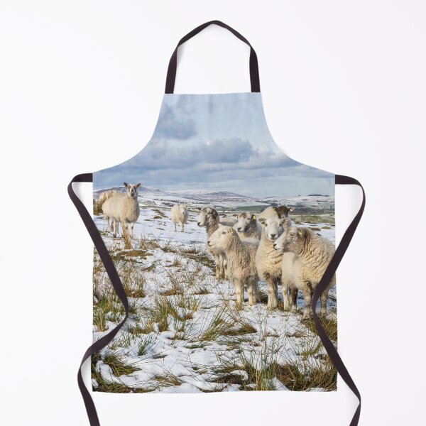 Item preview, Sheep in Winter designed and sold by Jane Stanley Photography.