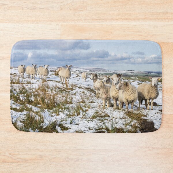Item preview, Sheep in Winter designed and sold by Jane Stanley Photography.