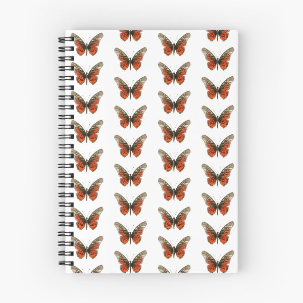 Item preview, Acraea Swordtail Butterfly (Graphium ridleyanus) – Watercolor Study designed and sold by veroniquecole.