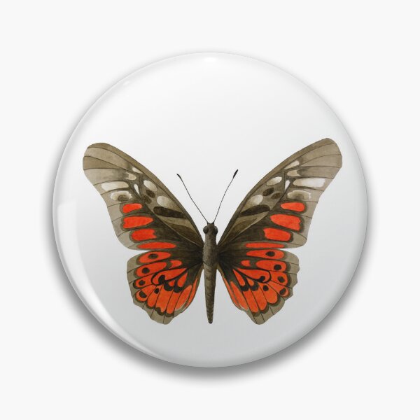 Item preview, Acraea Swordtail Butterfly (Graphium ridleyanus) – Watercolor Study designed and sold by veroniquecole.
