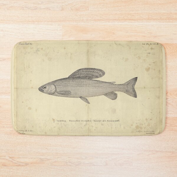 Item preview, Vintage Grayling Fish Art Print designed and sold by Jeeklsdotcom.