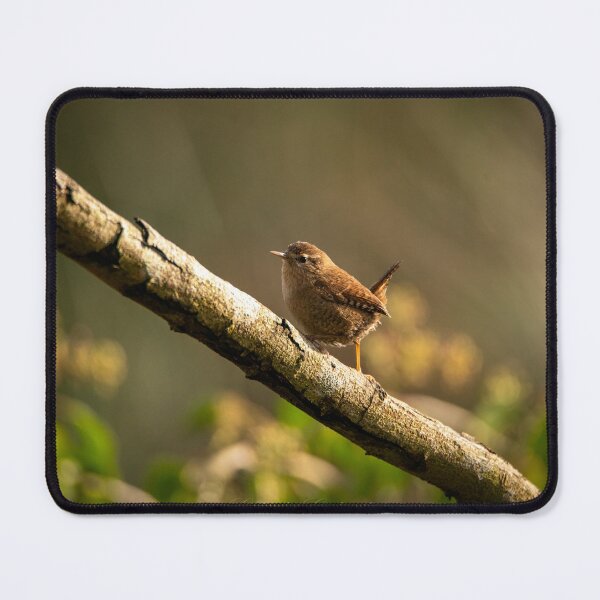 Item preview, Wren designed and sold by cgnature1983.