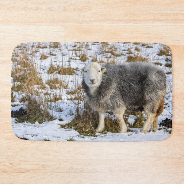 Item preview, Herdwick Sheep in the Snow designed and sold by Jane Stanley Photography.
