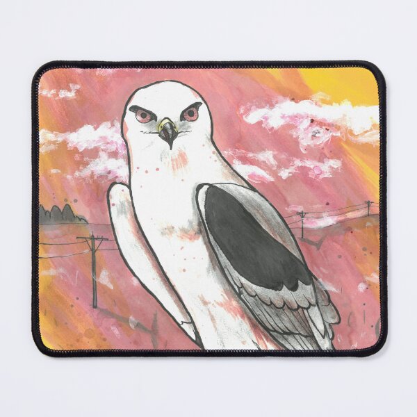 Item preview, Black winged kite designed and sold by mynature1.
