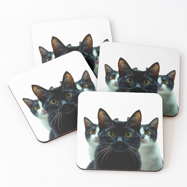Item preview, Two Tuxedo Cats Sticker – Cute Black and White Duo designed and sold by Teewave-Ashish.