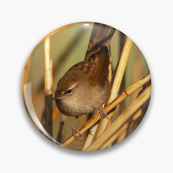 Item preview, Cetti's warbler designed and sold by cgnature1983.