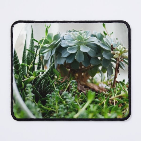 Item preview, Dwarf Plants designed and sold by geroptemoen.