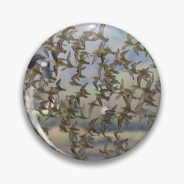 Item preview, European Golden Plover designed and sold by LaurenTucker.