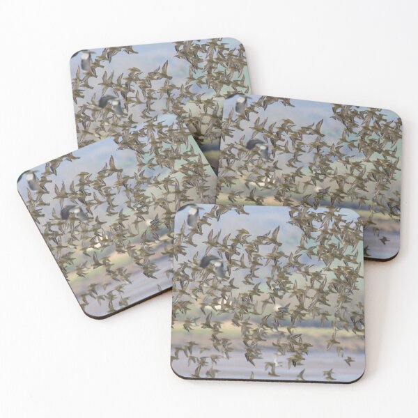 Item preview, European Golden Plover designed and sold by LaurenTucker.
