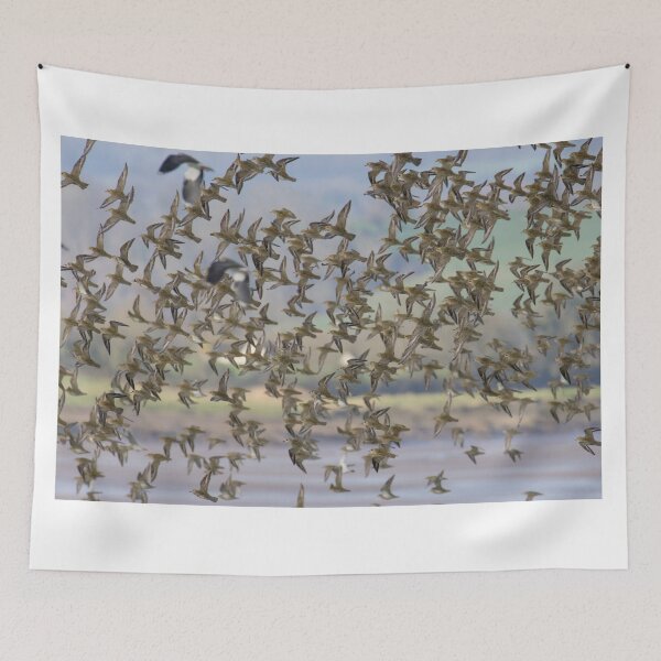 Item preview, European Golden Plover designed and sold by LaurenTucker.