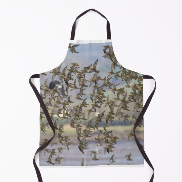Item preview, European Golden Plover designed and sold by LaurenTucker.