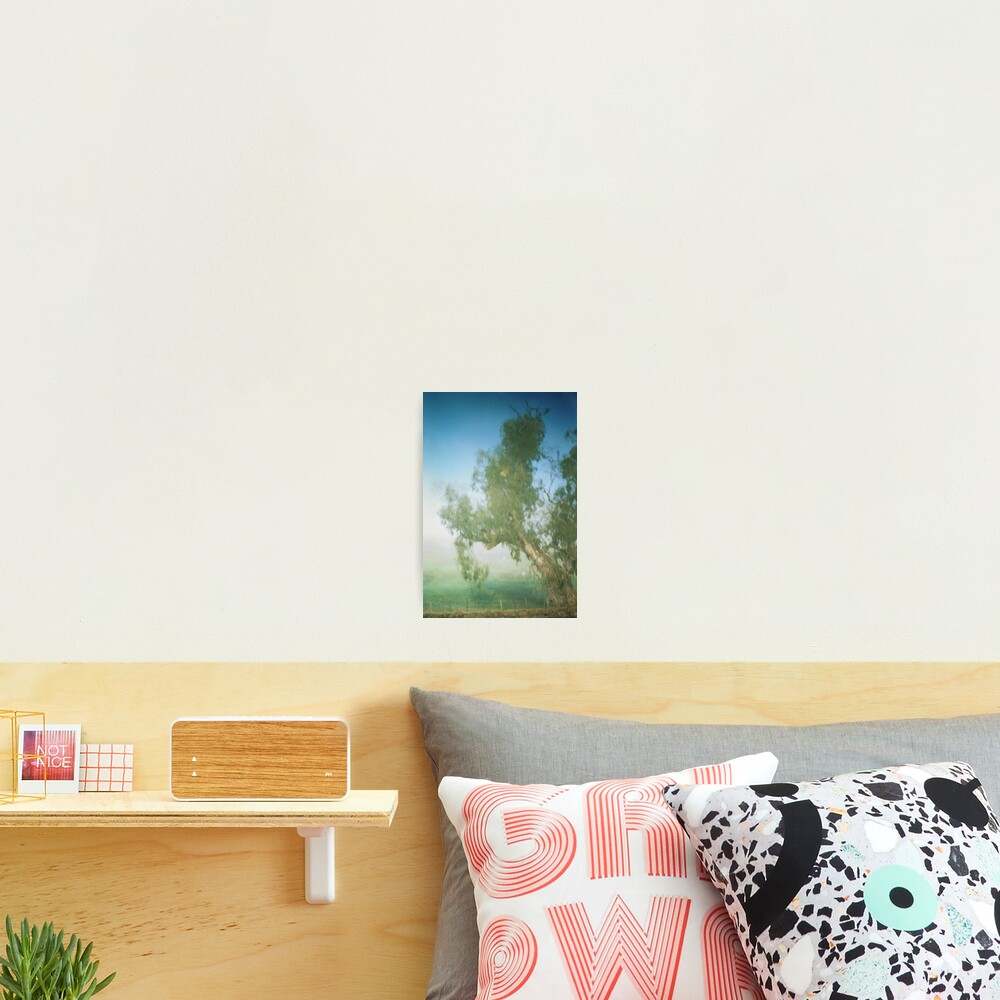 Item preview, Photographic Print designed and sold by RuthE.