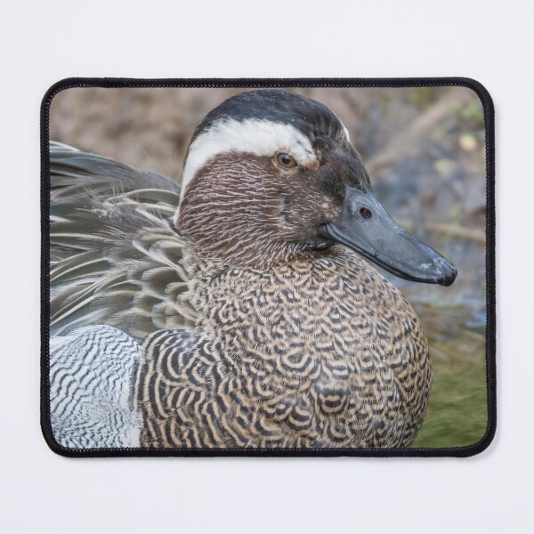 Item preview, Garganey designed and sold by LaurenTucker.
