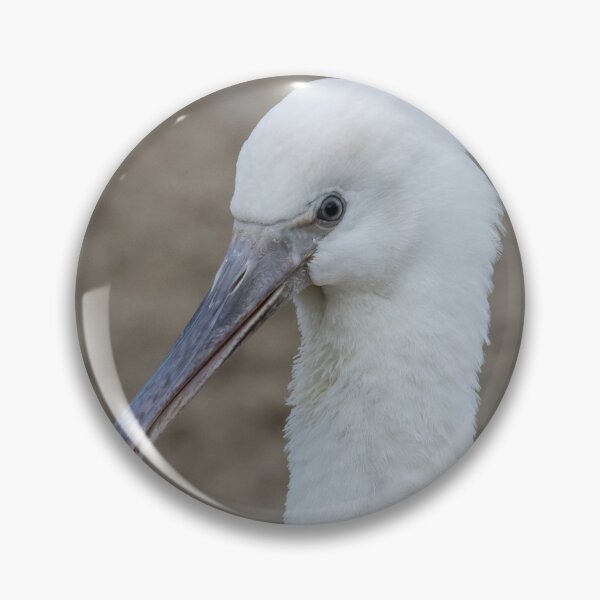 Item preview, Eurasian Spoonbill designed and sold by LaurenTucker.