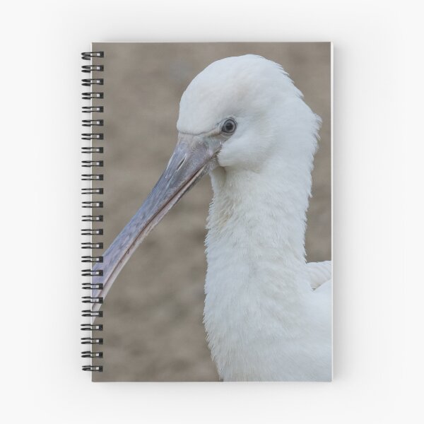 Item preview, Eurasian Spoonbill designed and sold by LaurenTucker.