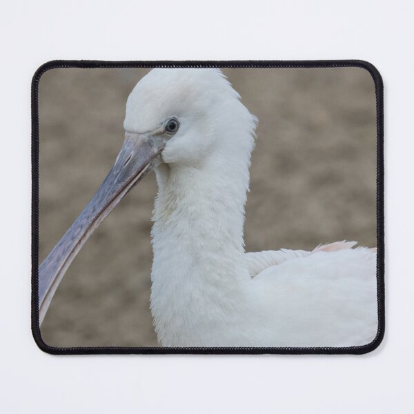 Item preview, Eurasian Spoonbill designed and sold by LaurenTucker.
