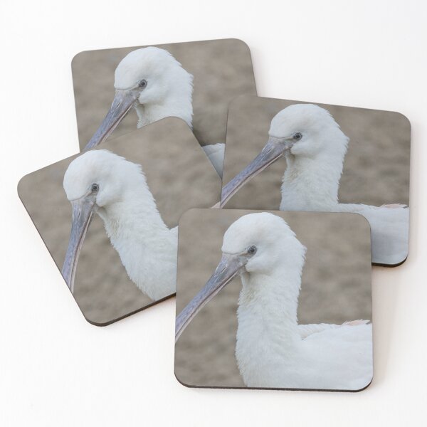 Item preview, Eurasian Spoonbill designed and sold by LaurenTucker.