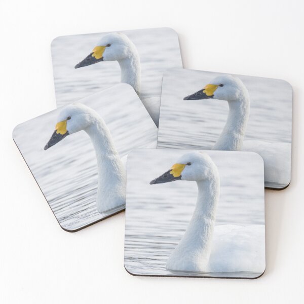 Item preview, Bewick's Swan designed and sold by LaurenTucker.