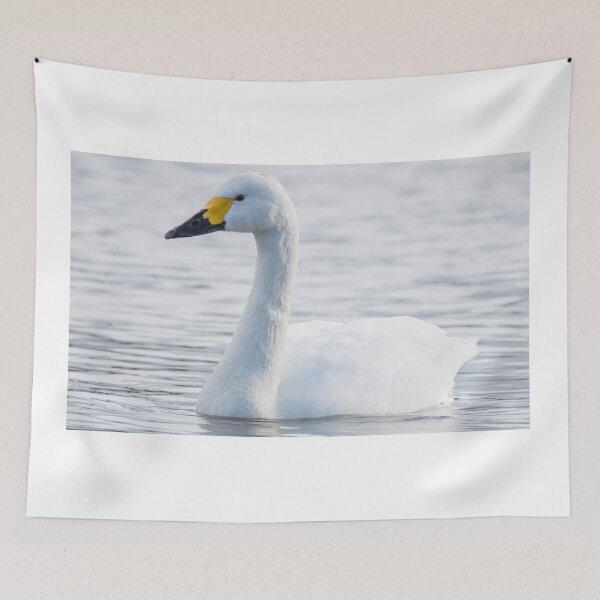Item preview, Bewick's Swan designed and sold by LaurenTucker.