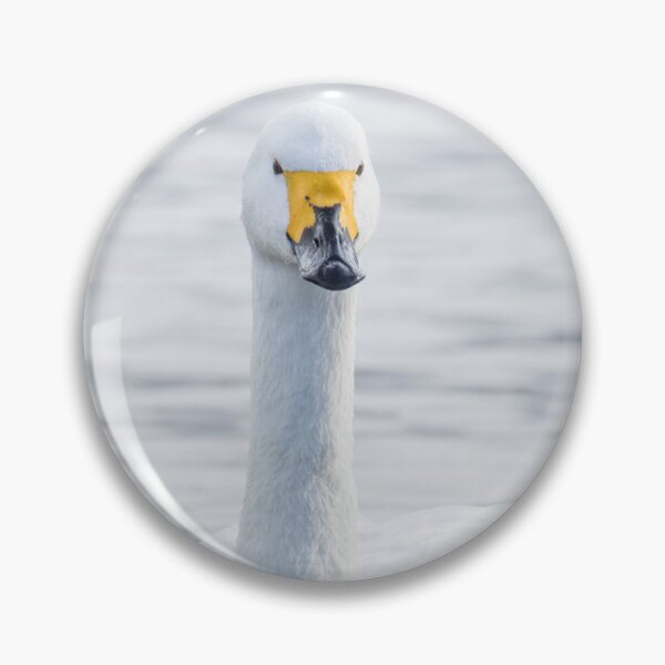 Item preview, Bewick's Swan designed and sold by LaurenTucker.