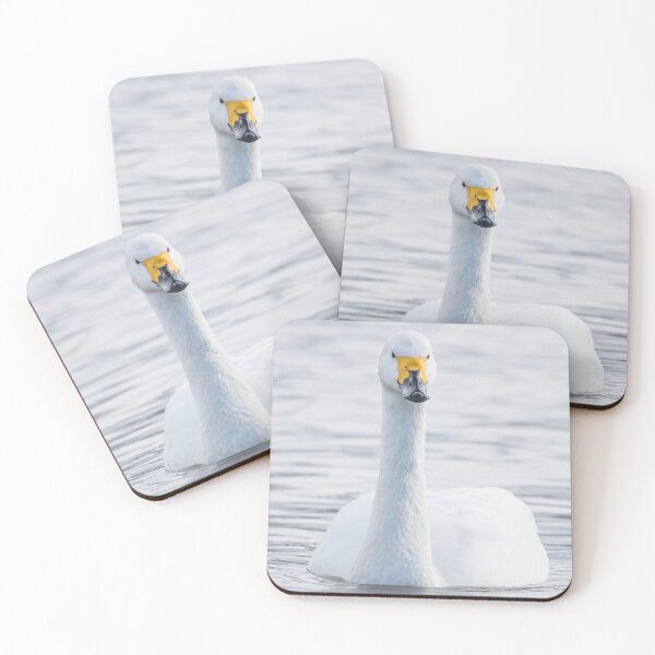 Item preview, Bewick's Swan designed and sold by LaurenTucker.