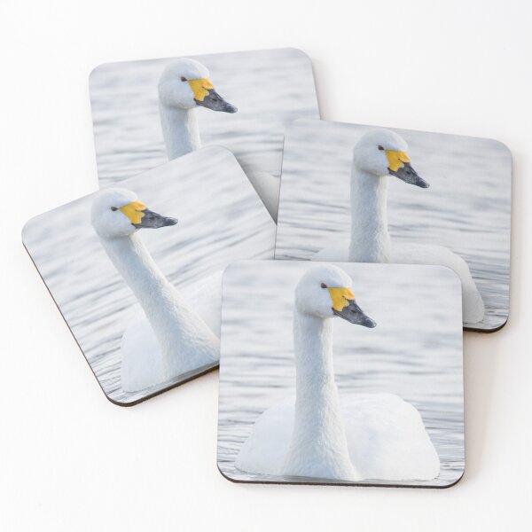 Item preview, Bewick's Swan designed and sold by LaurenTucker.