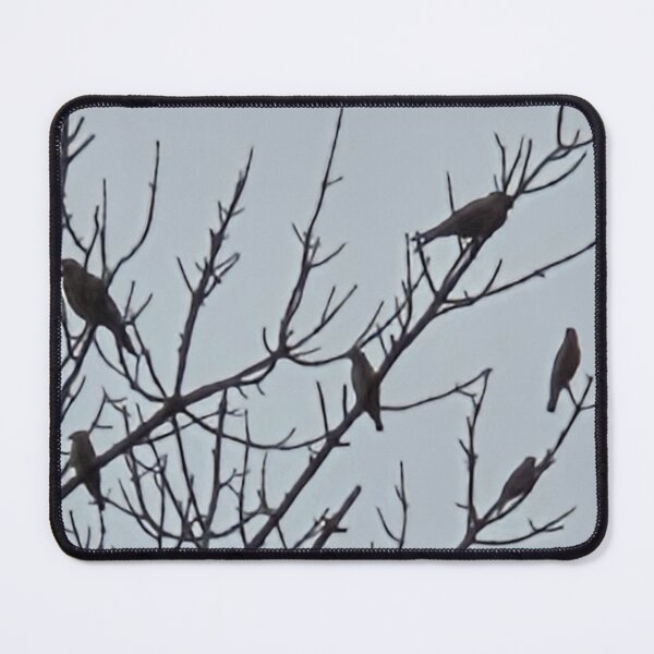 Item preview, Birds against the sky designed and sold by techblue.
