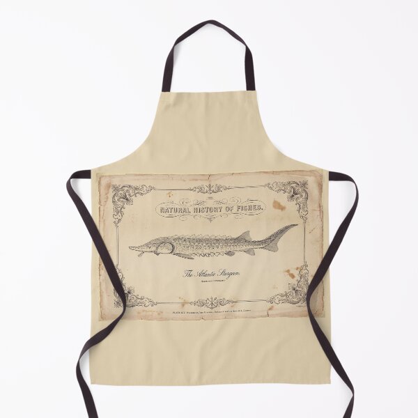 Item preview, Vintage Atlantic Sturgeon Art Print designed and sold by Jeeklsdotcom.