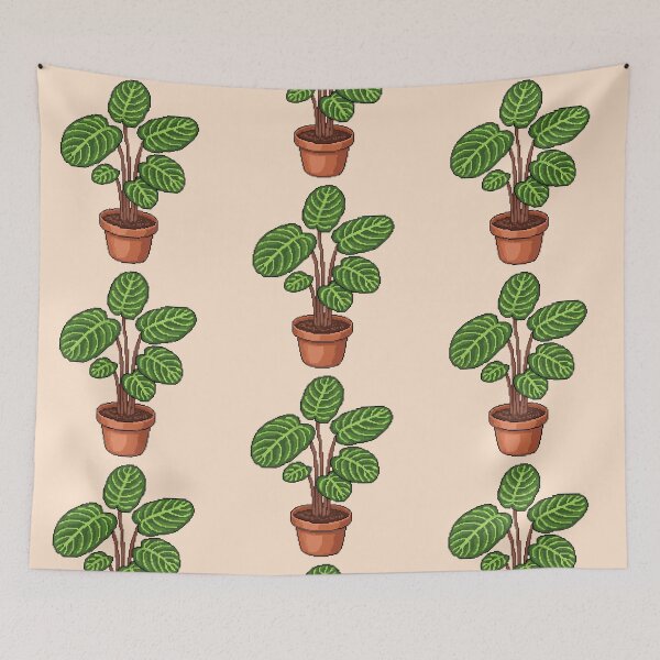 Item preview, Pixel Art Calathea Plant designed and sold by Potato Quality Prints.