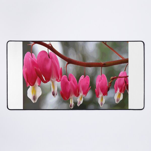 Item preview, Bleeding Hearts in the Spring - designed and sold by BostonArcImage.