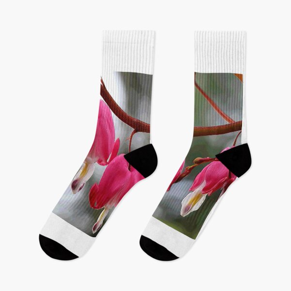 Item preview, Bleeding Hearts in the Spring - designed and sold by BostonArcImage.