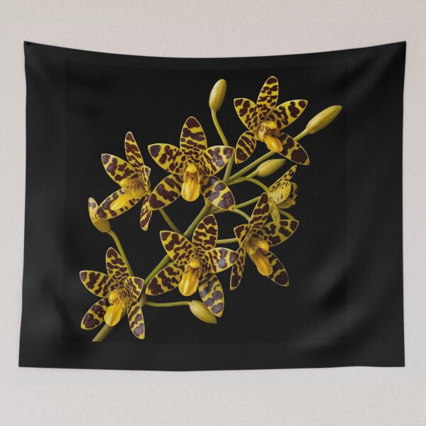 Item preview, Ansellia Africana designed and sold by HeritageGlow.