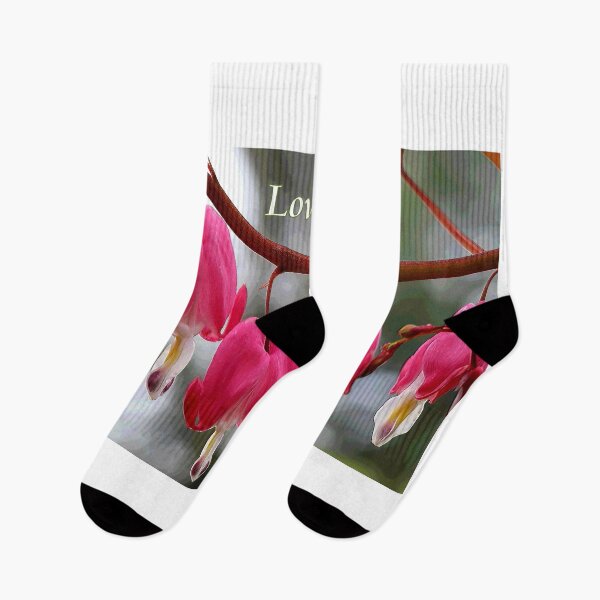 Item preview, Bleeding Hearts in the Spring - Love You! designed and sold by BostonArcImage.