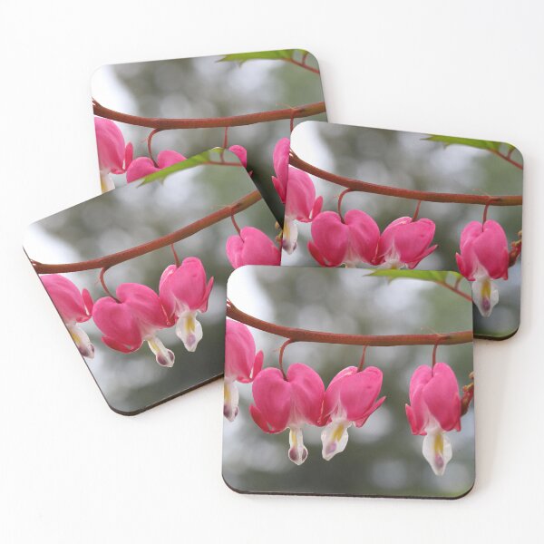 Item preview, Bleeding Hearts in Spring designed and sold by BostonArcImage.