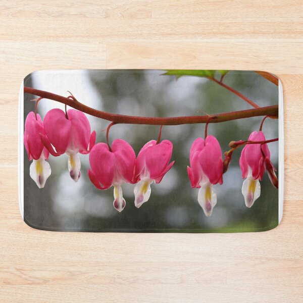 Item preview, Bleeding Hearts in Spring designed and sold by BostonArcImage.