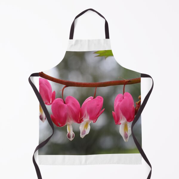 Item preview, Bleeding Hearts in Spring designed and sold by BostonArcImage.