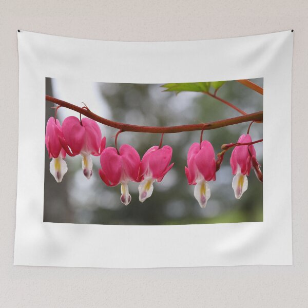 Item preview, Bleeding Hearts in Spring designed and sold by BostonArcImage.