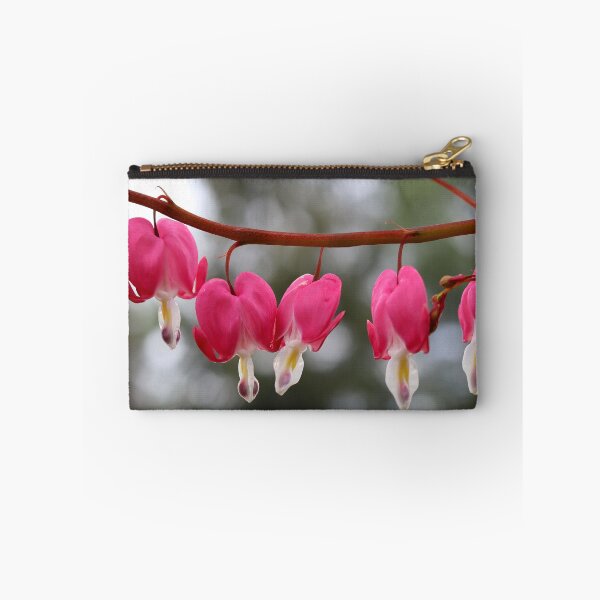 Item preview, Bleeding Hearts in Spring designed and sold by BostonArcImage.