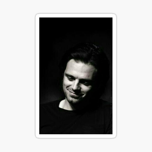 seb stan Sticker