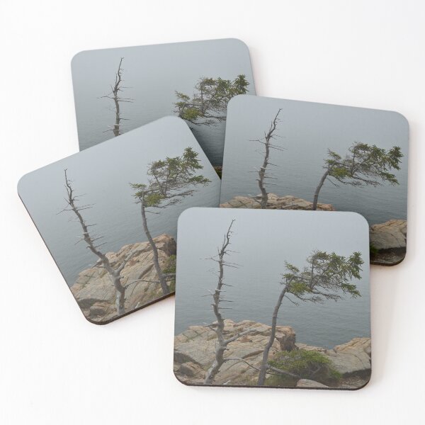Item preview, Cliff Trees at Acadia designed and sold by dcri632.
