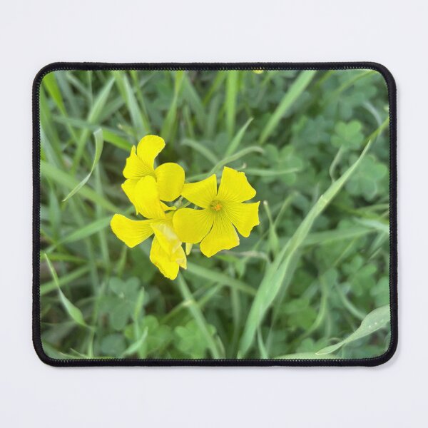 Item preview, Little flowers peeking through designed and sold by 55synonyms.