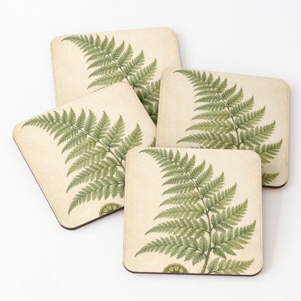 Item preview, Vintage Fern Botanical Print – Antique Cottagecore Nature Wall Art designed and sold by Darlin8888.
