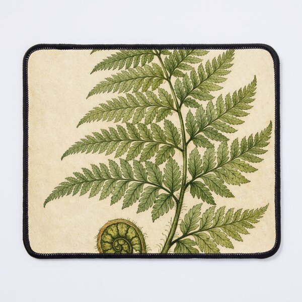 Item preview, Vintage Fern Botanical Print – Antique Cottagecore Nature Wall Art designed and sold by Darlin8888.