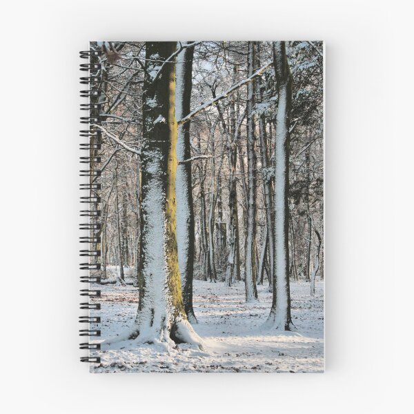 Item preview, White of the Year designed and sold by Rachel J Bowler.
