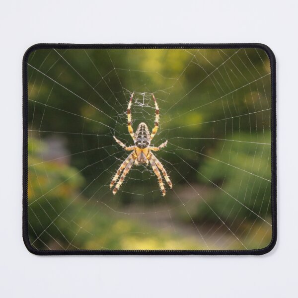 Item preview, Silk Web Beauty designed and sold by AgapesPurest.