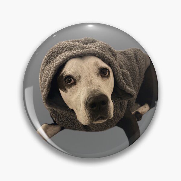 Item preview, Pitbull dog cute sweater designed and sold by MistyHazeArt.