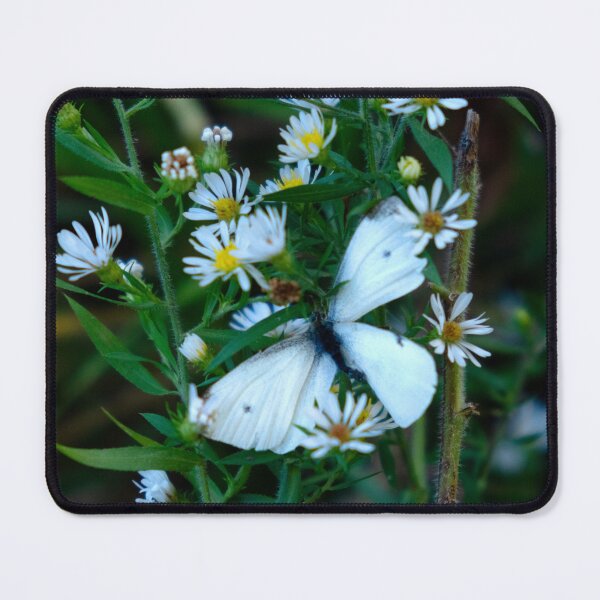 Item preview, Resting Place designed and sold by mariahnphoto.
