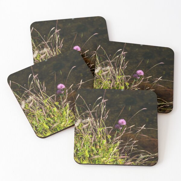 Item preview, Lone flowers designed and sold by mariahnphoto.