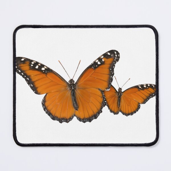 Item preview, Vibrant orange butterflies in flight with black and white details designed and sold by Creative88Art.
